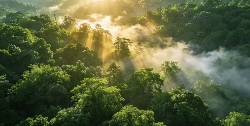 黄冈肺癌172基因检测图片1