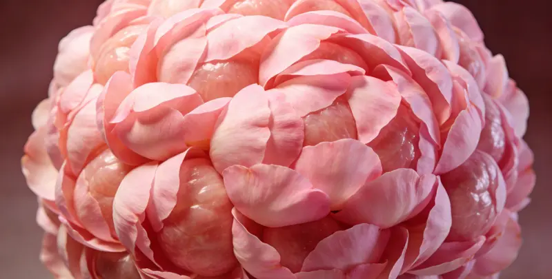 黄冈BRCA1/2乳腺癌卵巢癌基因检测图片1